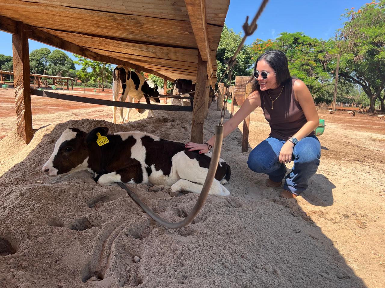 Alunos de Agronomia visitam fazenda modelo em produção de leite